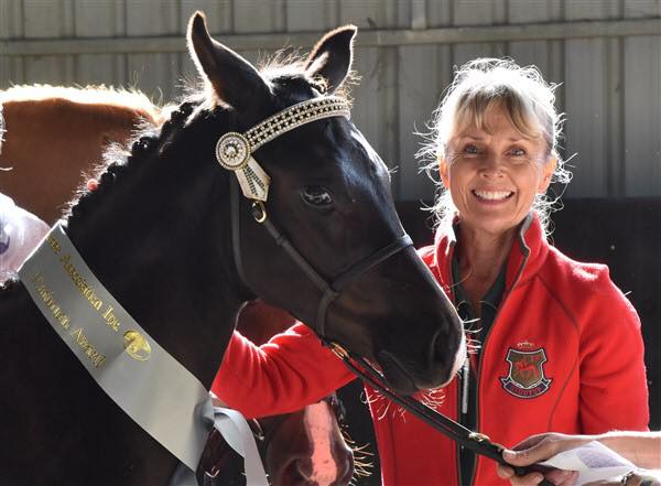 Joanne Verikios Judge at Australian Warmblood Horse Association National Championship Tour